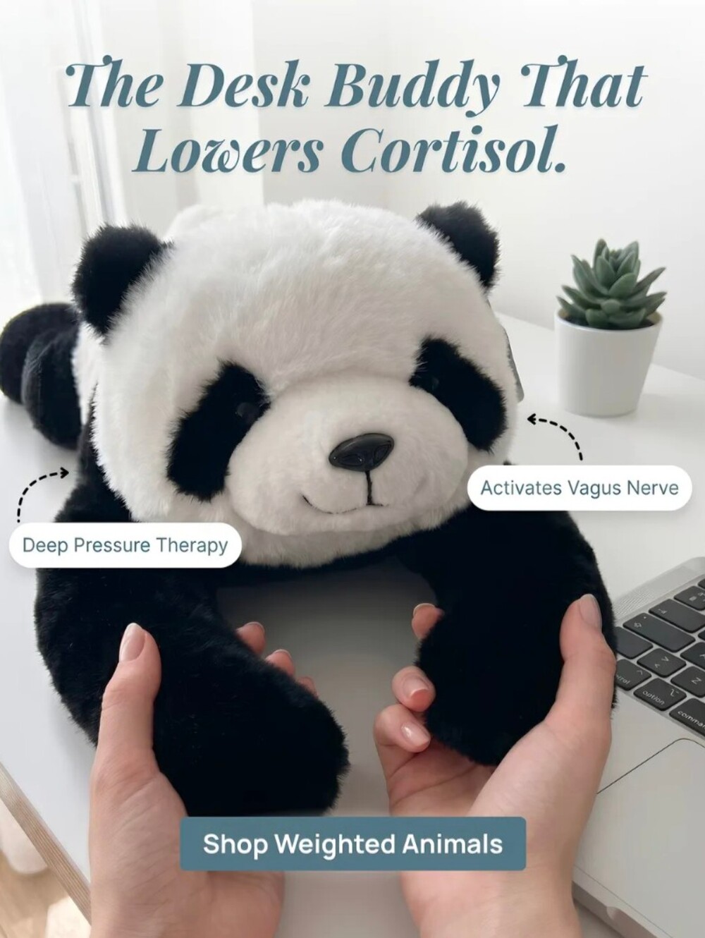 🆕 Pulse Of Potential Pookie the Panda Weighted Plush Animal (Anxiety Relief)